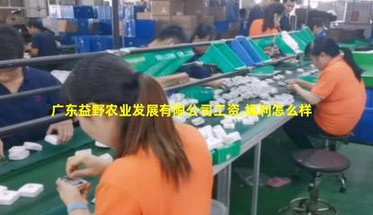 廣東益野農(nóng)業(yè) 領(lǐng)航畜牧漁業(yè)飼料銷售，助推現(xiàn)代農(nóng)牧業(yè)發(fā)展